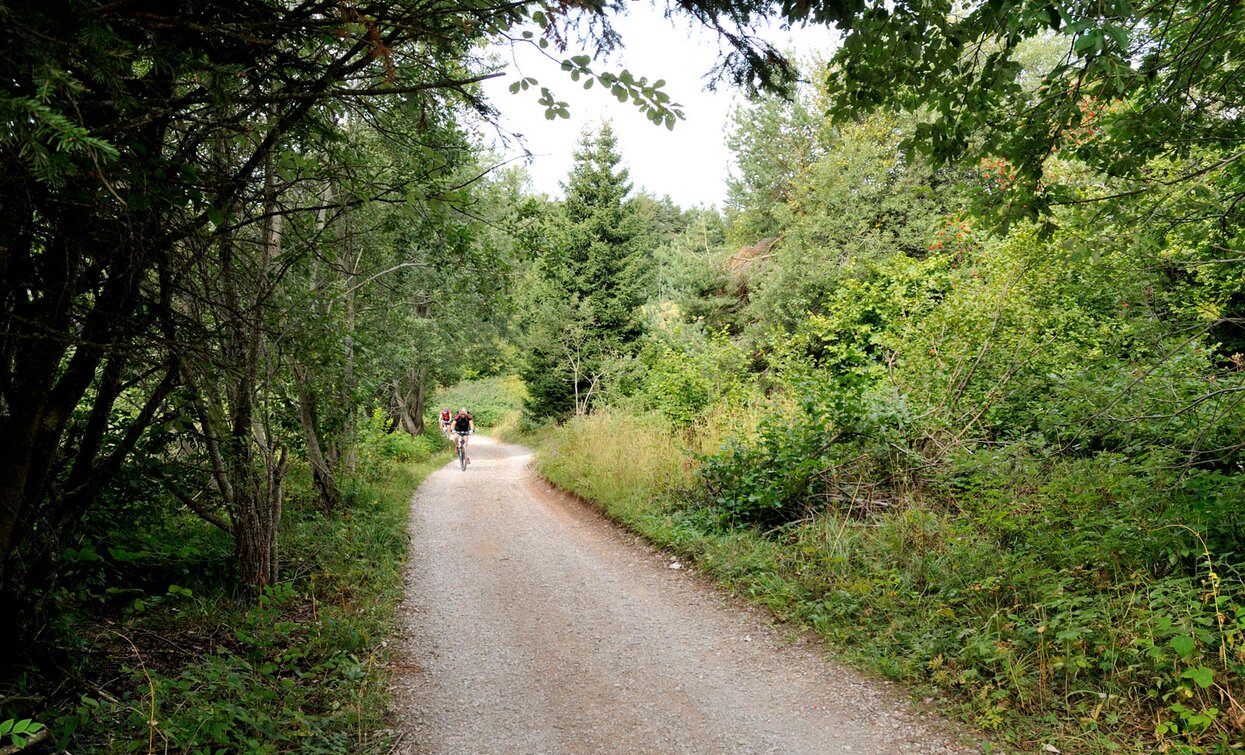 First section of the ascent to Monte Casale | © Archivio Garda Trentino, Garda Trentino 