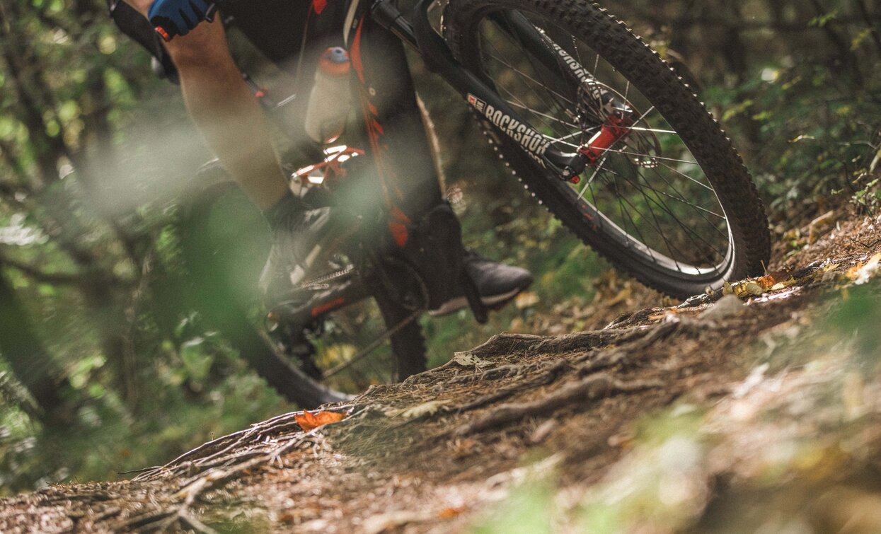 Descent along trail | © Archivio Garda Trentino (ph. Tommaso Prugnola), Garda Trentino