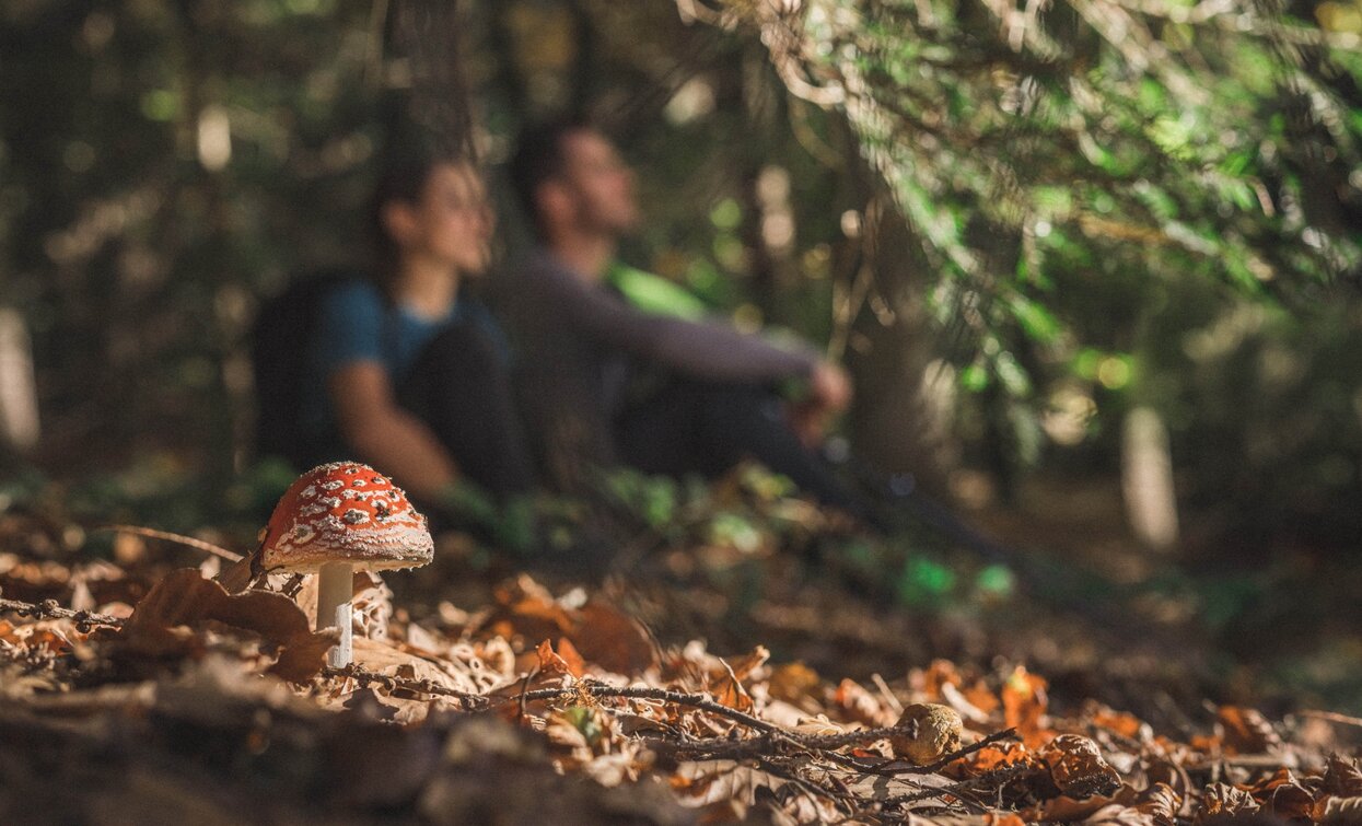 Hike to the San Pietro Refuge | © Archivio Garda Trentino (ph. Tommaso Prugnola), Garda Trentino 