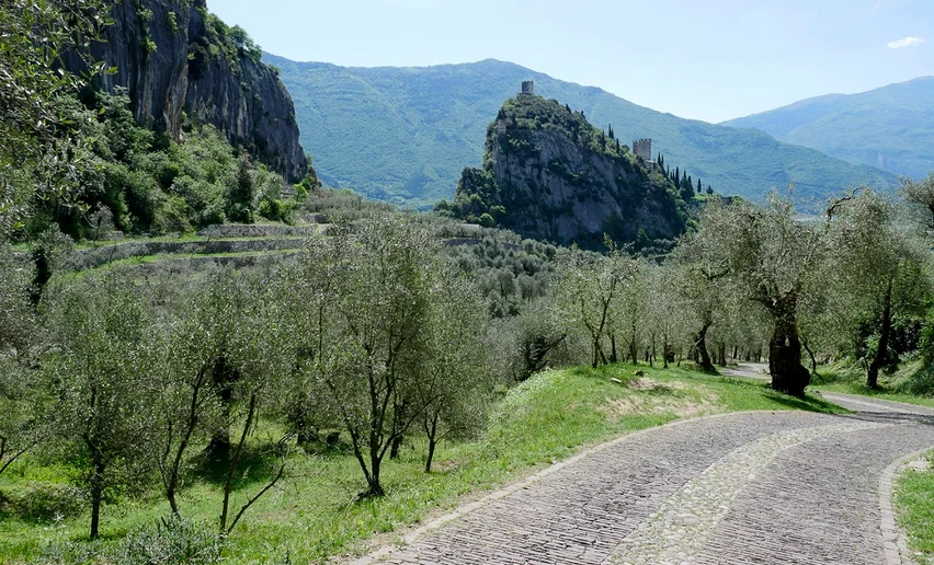 The castle of Arco and the Olivaia (olive grove) | © Archivio Garda Trentino, Garda Trentino 
