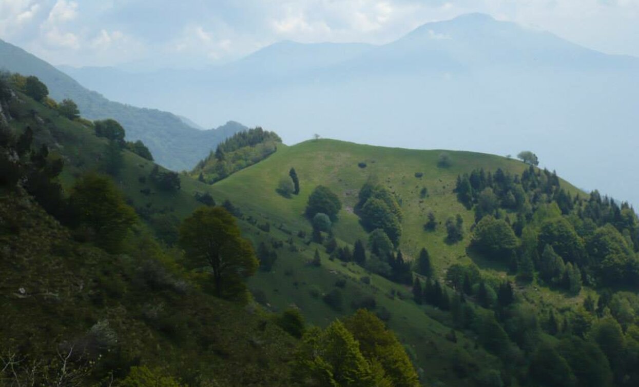 Monte Vender vom Weg SAT 445 "Sentiero della Regina" | © La ValeBellotti, Garda Trentino