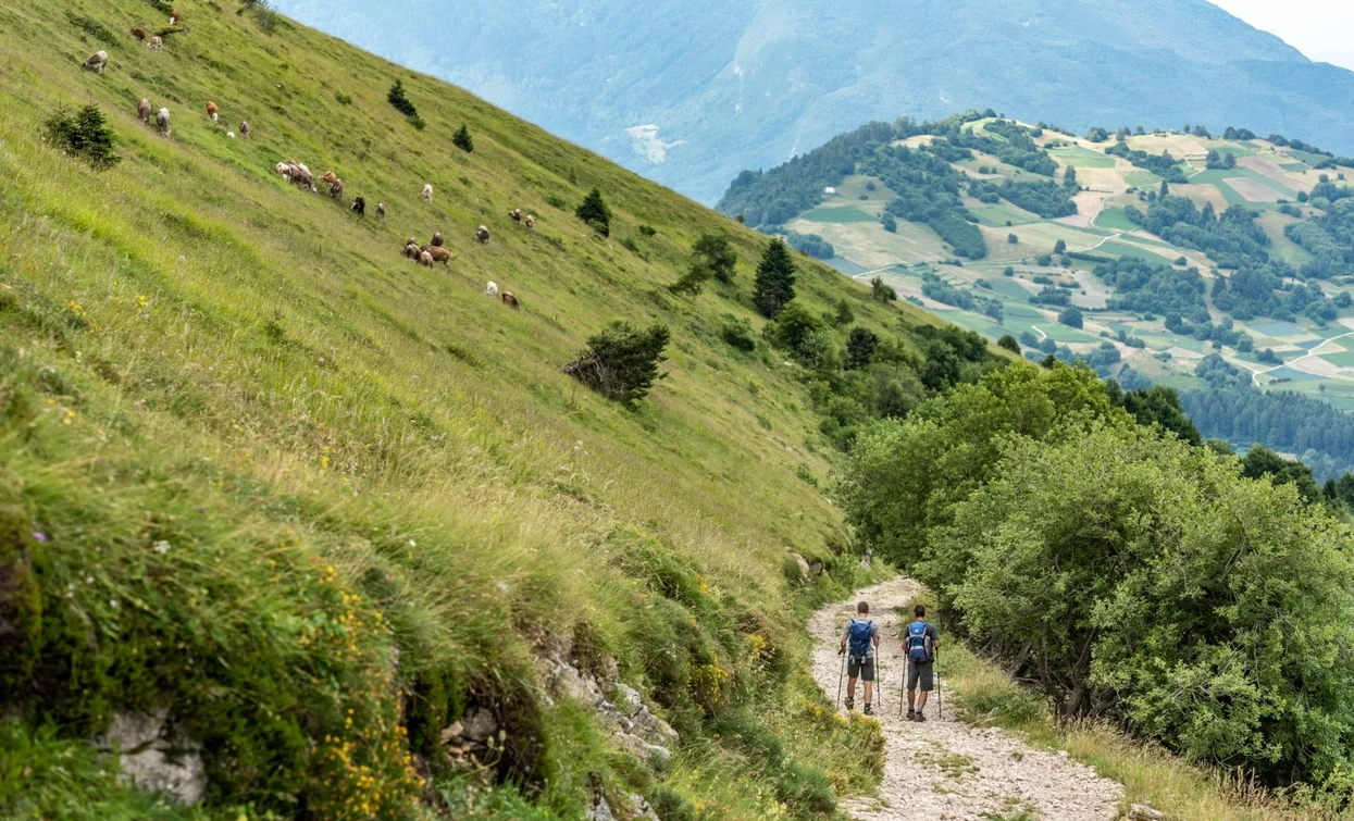 Wanderung Monte Stivo | © Archivio Garda Trentino (Ph. Jennifer Doohan), Garda Trentino 