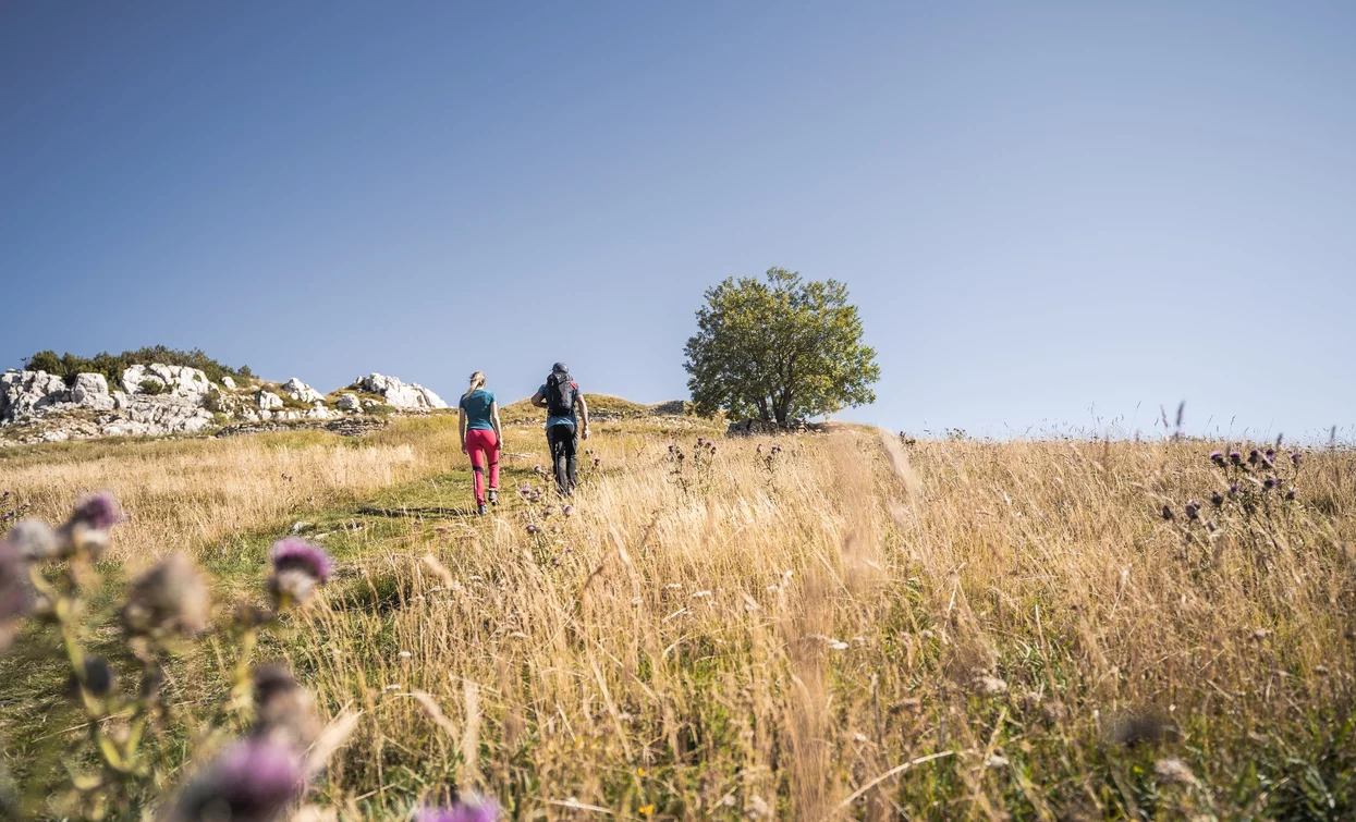 Prati di Nago | © Archivio Garda Trentino (ph. Watchsome), Garda Trentino 