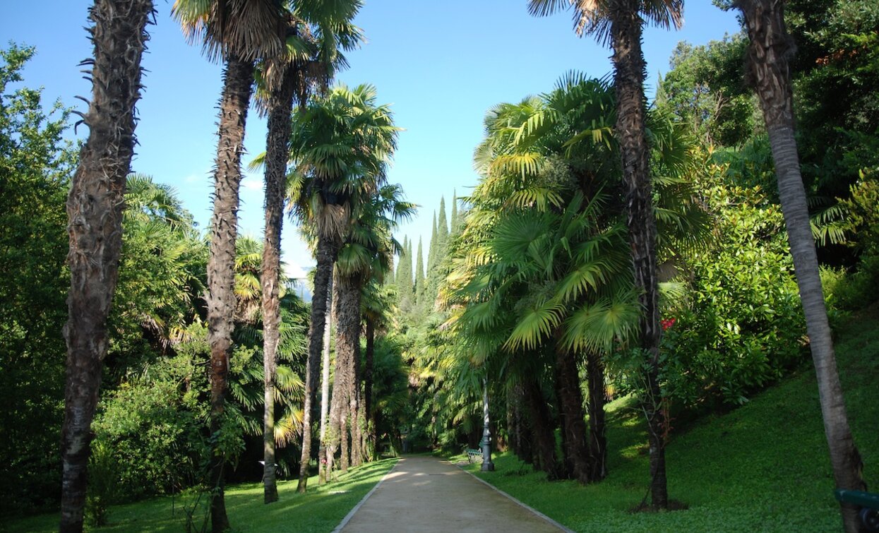 Das Arboretum (Parco Arciducale) | © Patrizia N. Matteotti, Garda Trentino 