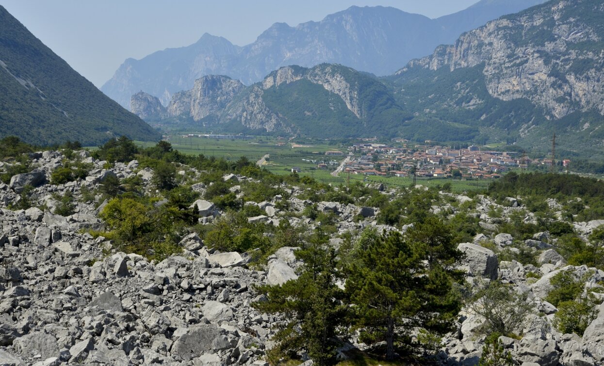 The nature reserve of the Marocche | © Promovideo, Garda Trentino