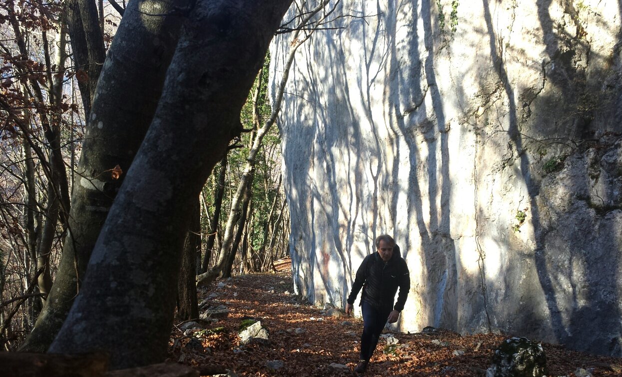 The trail to Bocca di Tovo | © Archivio APT Garda Trentino (Ph. A. Seneci), North Lake Garda Trentino 