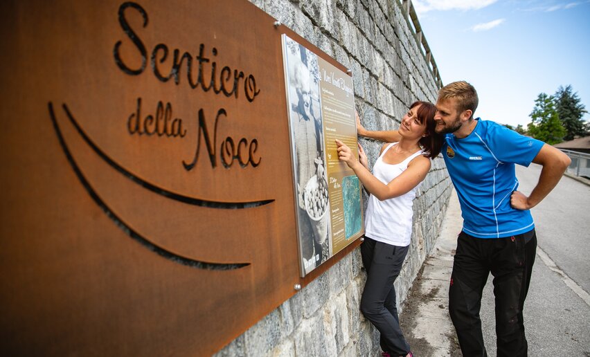 Il percorso della noce