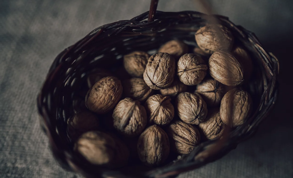 Korb mit Bleggio-Nüssen, Slow Food Präsidium | © G. Tolli, Garda Trentino