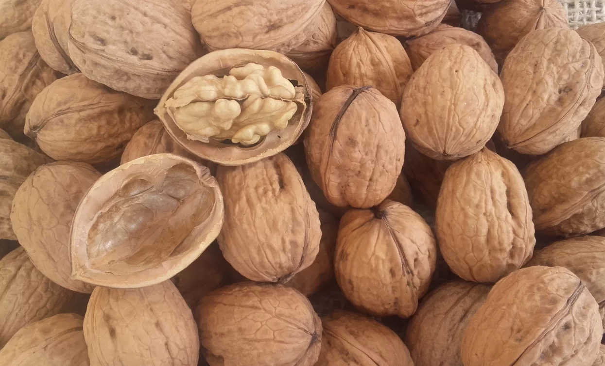 © Azienda per il Turismo Terme di Comano Dolomiti di Brenta, Garda Trentino
