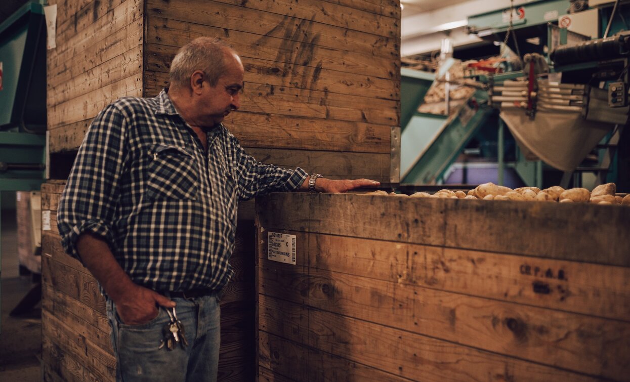 Copag, the house of Montagnine potatoes | © G. Tolli, Garda Trentino 
