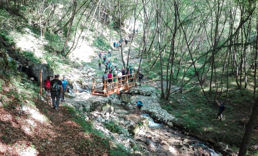 Lungo il sentiero attrezzato "del Berghem" verso San Martino e Malga Grassi