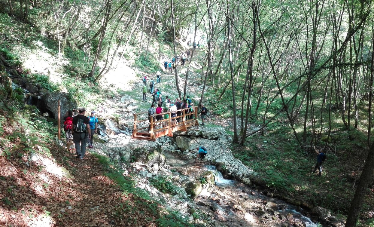 The trail "del Berghem" | © B. Angelini, North Lake Garda Trentino 