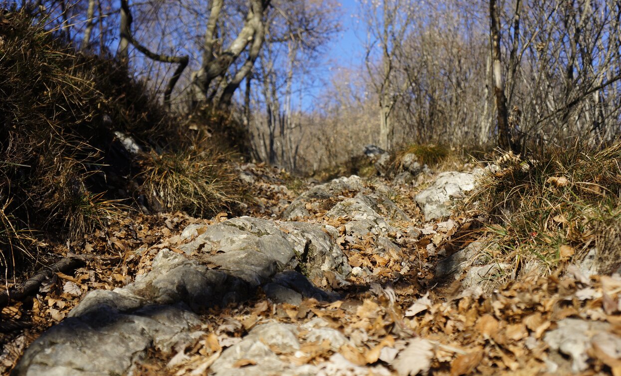 Un esempio di fondo sul sentiero 409B | © M. Giacomello, Garda Trentino 