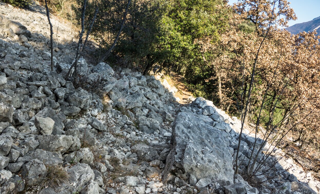 Ein Beispiel des Terrains auf dem 409B Trail | © M. Giacomello , Garda Trentino 