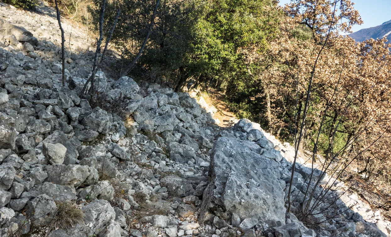 An example of the terrain on the 409B Trail | © M. Giacomello , Garda Trentino 