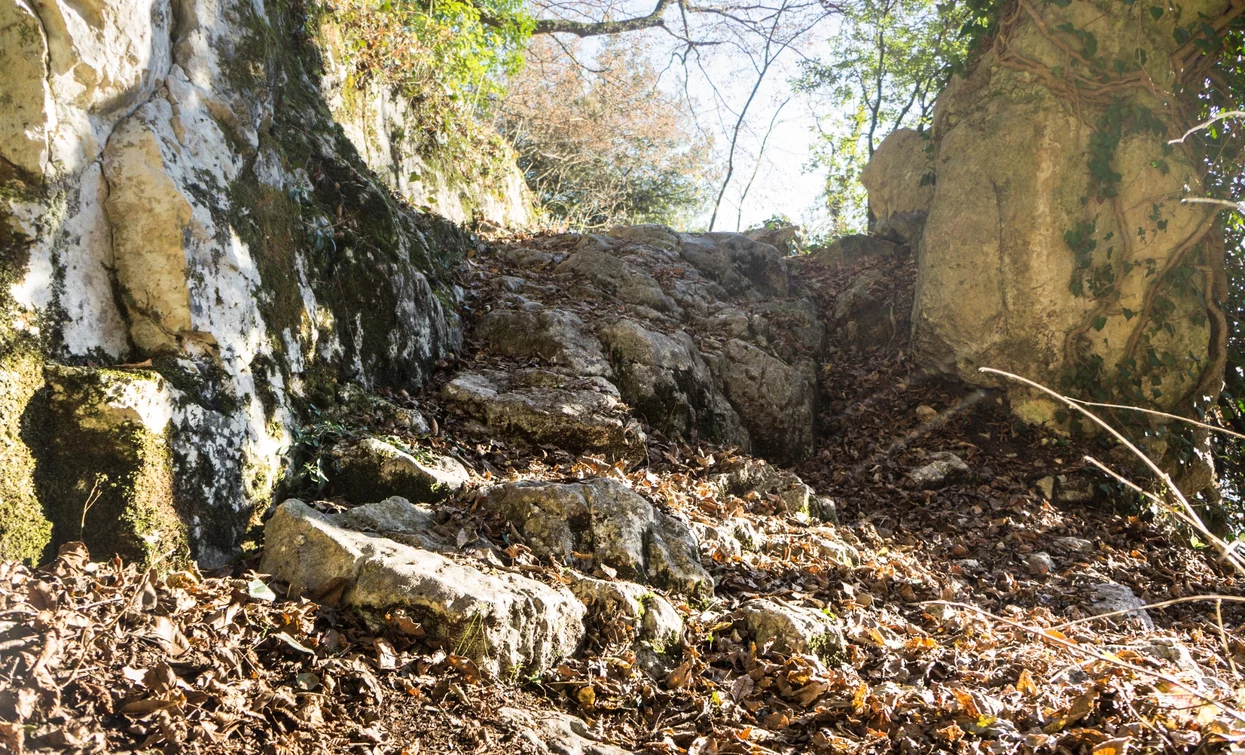 An example of the terrain on the 409B Trail | © M. Giacomello, Garda Trentino 