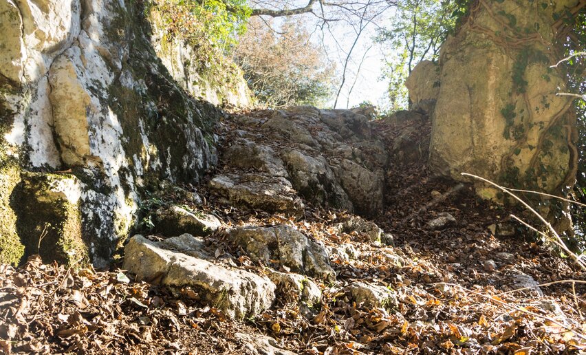 Un esempio del terreno sul percorso 409B Trail | © M. Giacomello, Garda Trentino 
