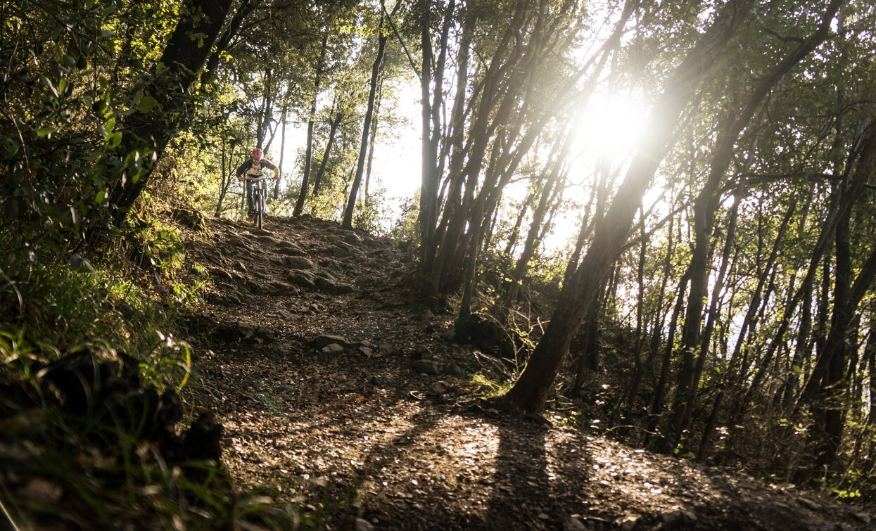 Un tratto del percorso in direzione di Sant'Alessandro | © Archivio Garda Trentino (ph. Marco Giacomello), North Lake Garda Trentino 