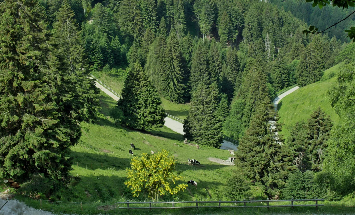 © Stefania Oradini, Garda Trentino 