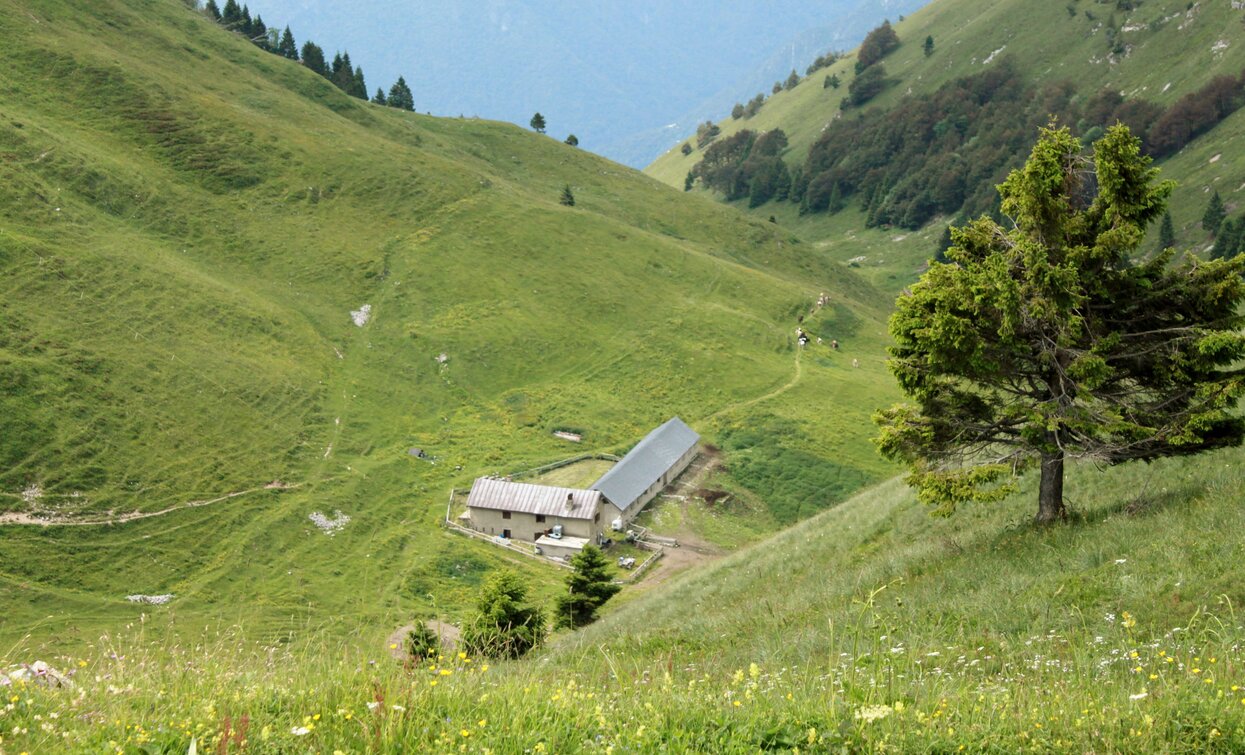Malga Saval | © Stefania Oradini, Garda Trentino 