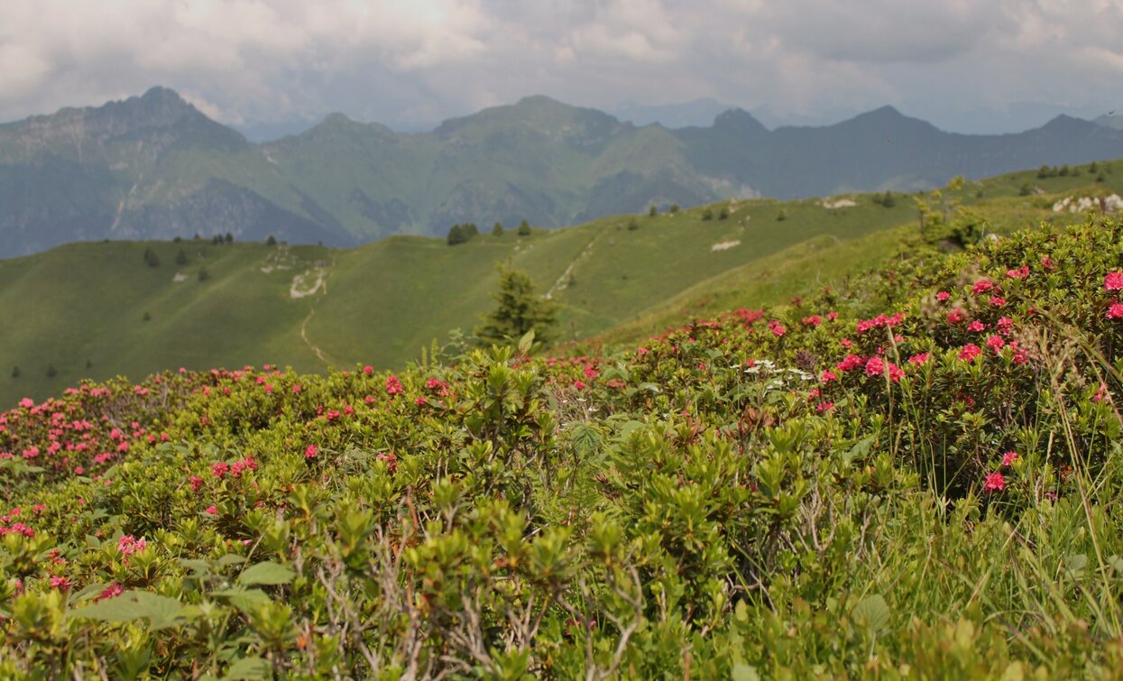 Berge rund um Parì | © Stefania Oradini, Garda Trentino 