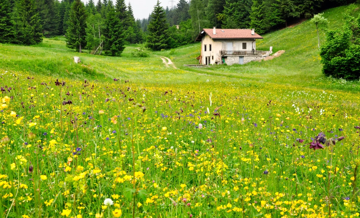 © Bruno Ferrari, Garda Trentino 