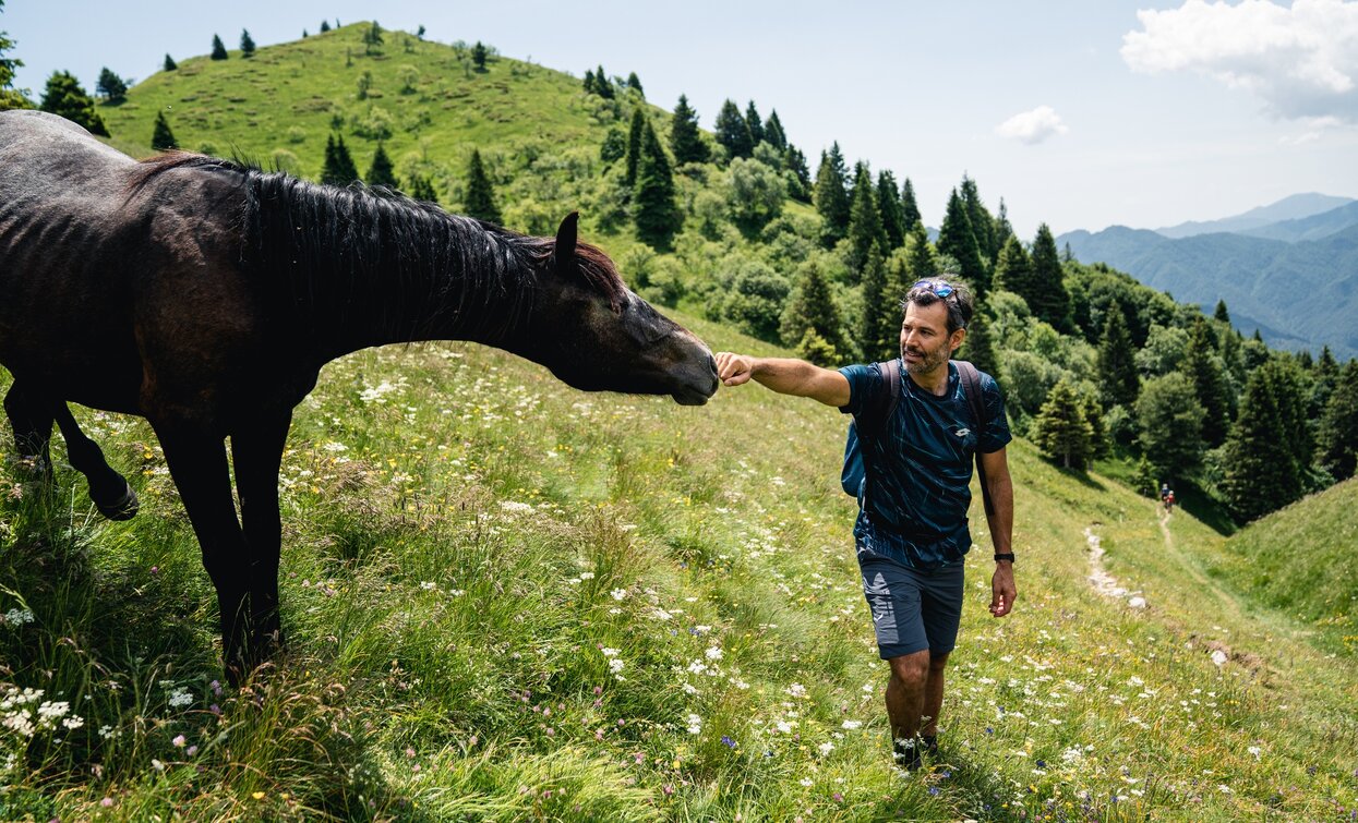 Among the meadows of Dromaè | © Alice Russolo, Garda Trentino 