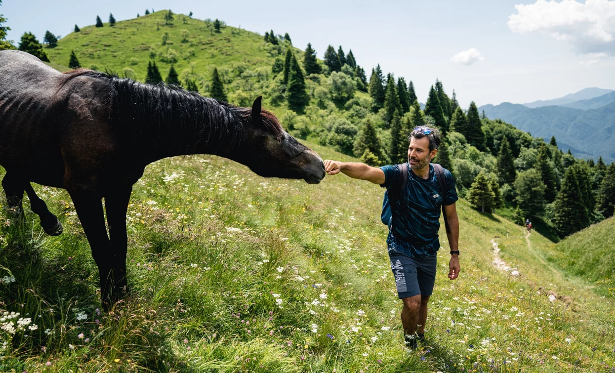 Zwischen den Wiesen von Dromaè | © Alice Russolo, Garda Trentino 
