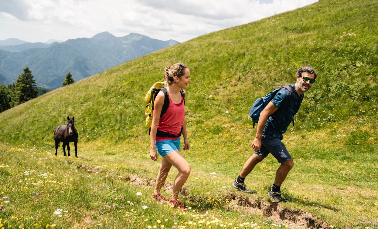 Zwischen den Wiesen von Dromaè | © Alice Russolo, Garda Trentino 