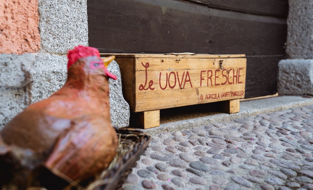 Die Rundfahrt um den Ledrosee führt durch die Altstadt von Mezzolago | © Alice Russolo, Garda Trentino 