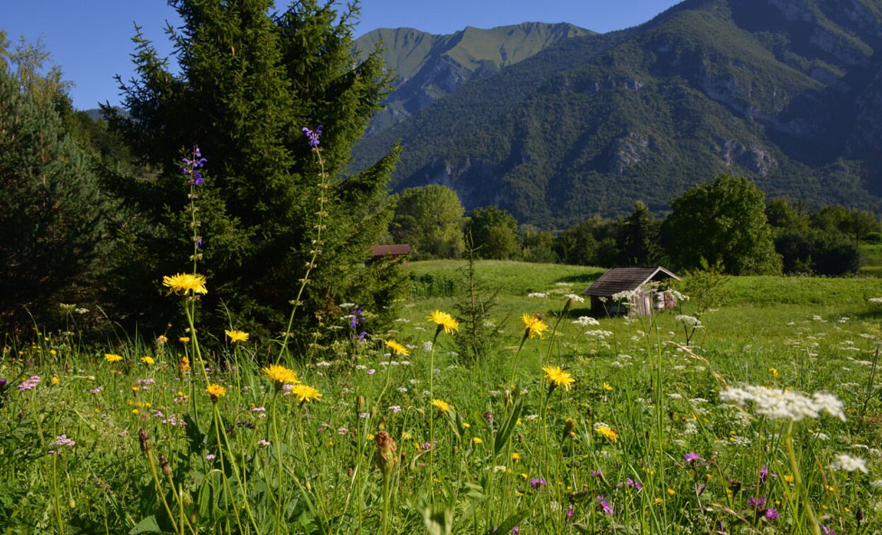 The meadows above Legos | © Archivio Garda Trentino (ph. Voglino e Porporato), Garda Trentino 