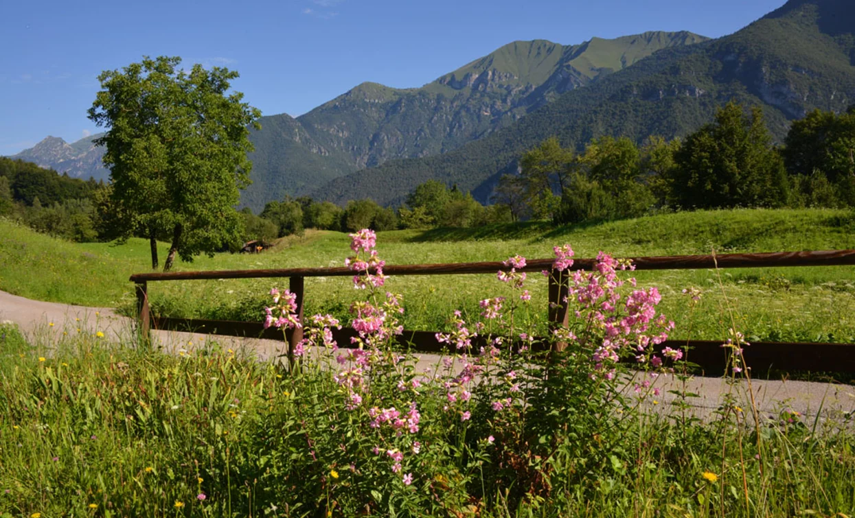 Vista sulle montagne sullo sfondo | © Voglino, Garda Trentino 