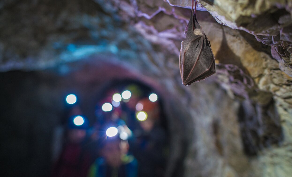 In den Tunneln vor Cima Rocca | © G.P. Calzà ©APT Garda Trentino , Garda Trentino 