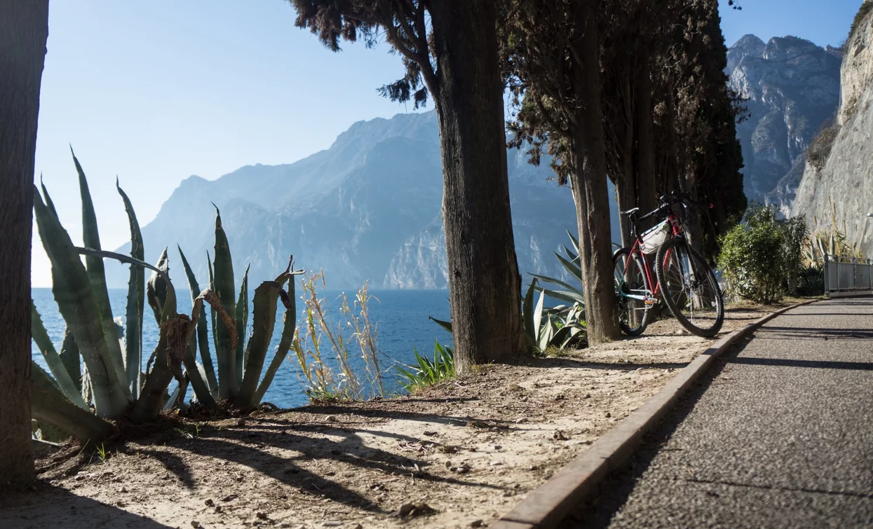 Auf dem Radweg zwischen Riva del Garda und Torbole | © M. Giacomello , Garda Trentino 