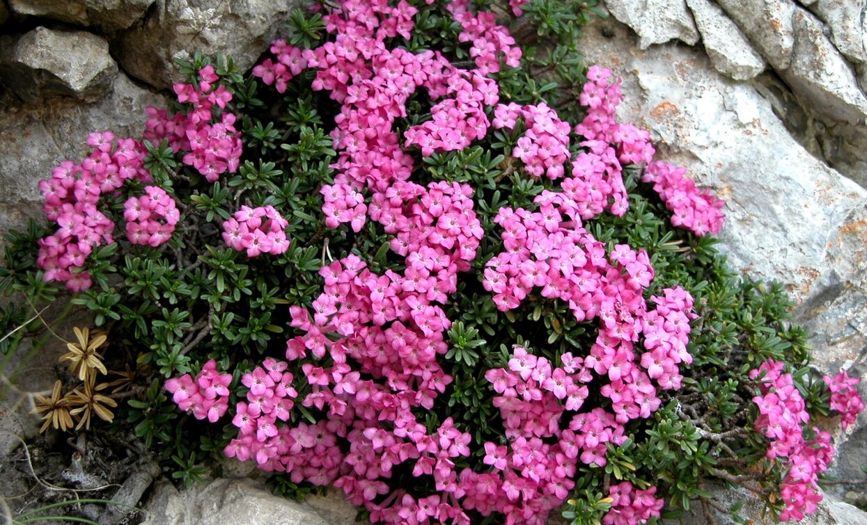 © MUSE, Garda Trentino 