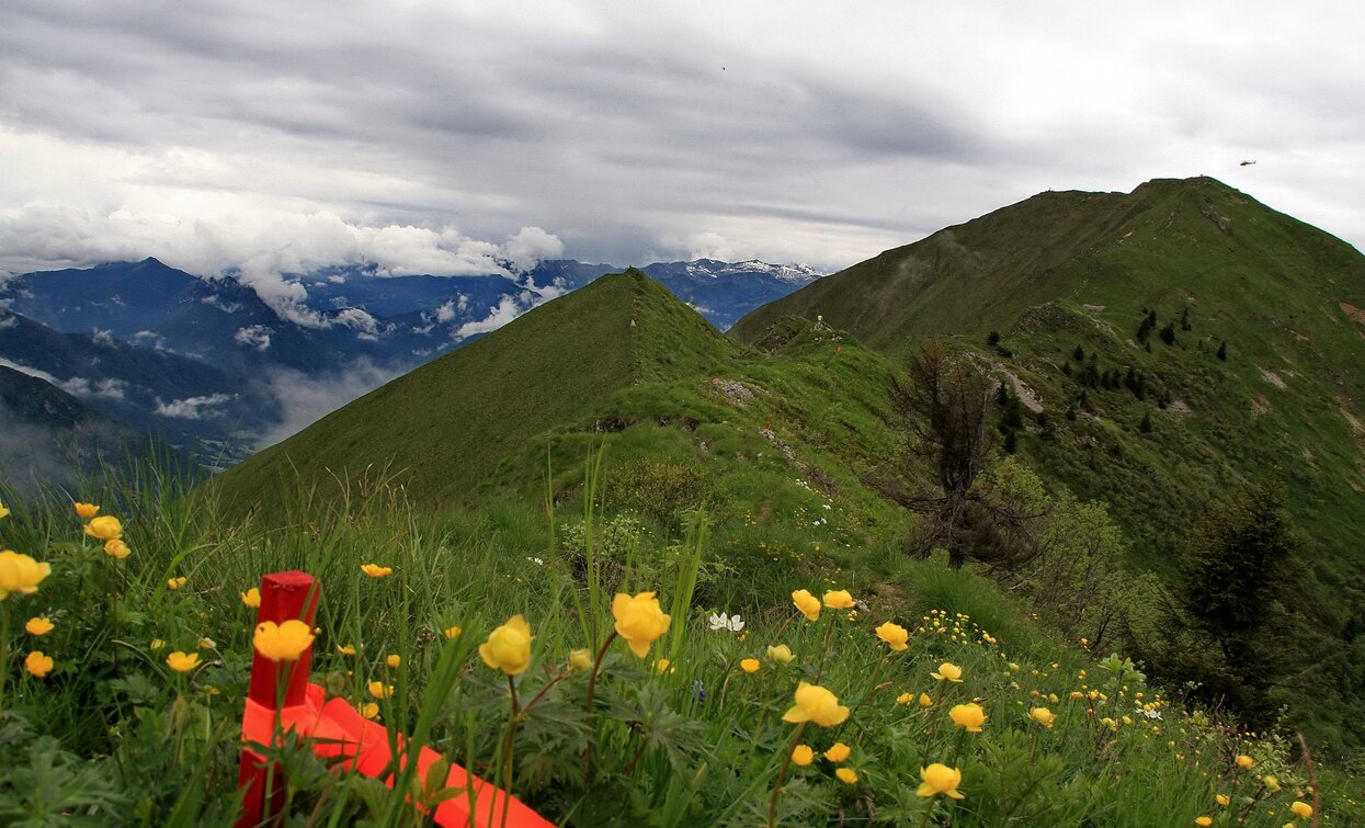 Tra Cima Parì e Cima d'Oro | © Franco Daldoss, Garda Trentino 