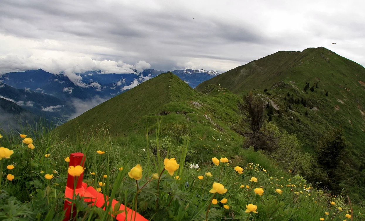 © Franco Daldoss, Garda Trentino 