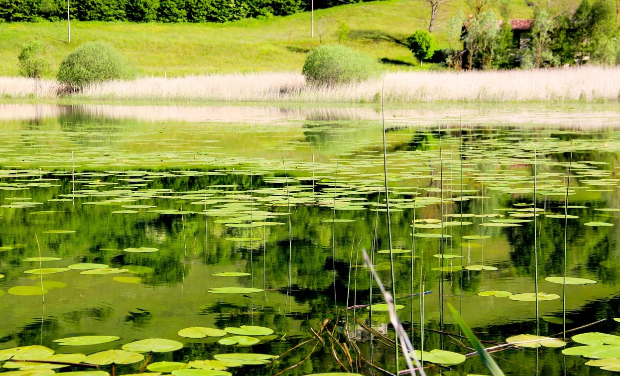 Lago d'Ampola | © Natalia Pellegrini, Garda Trentino 