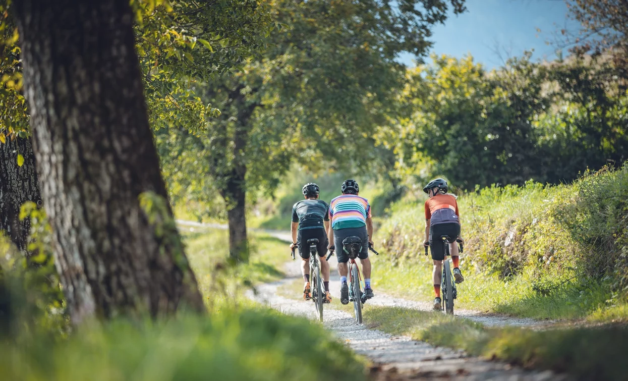 Wirtschaftsweg im Bleggio | © Archivio Garda Trentino (ph. Tommaso Prugnola), Garda Trentino