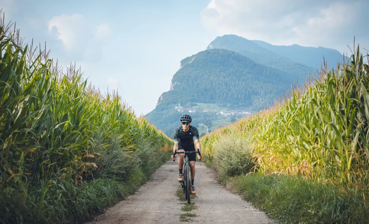 With the gravel bike through the cornfields | © Archivio Garda Trentino (ph. Tommaso Prugnola), Garda Trentino