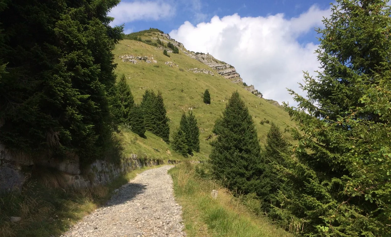 Strada militare | © Elisabetta Luraschi, Garda Trentino 