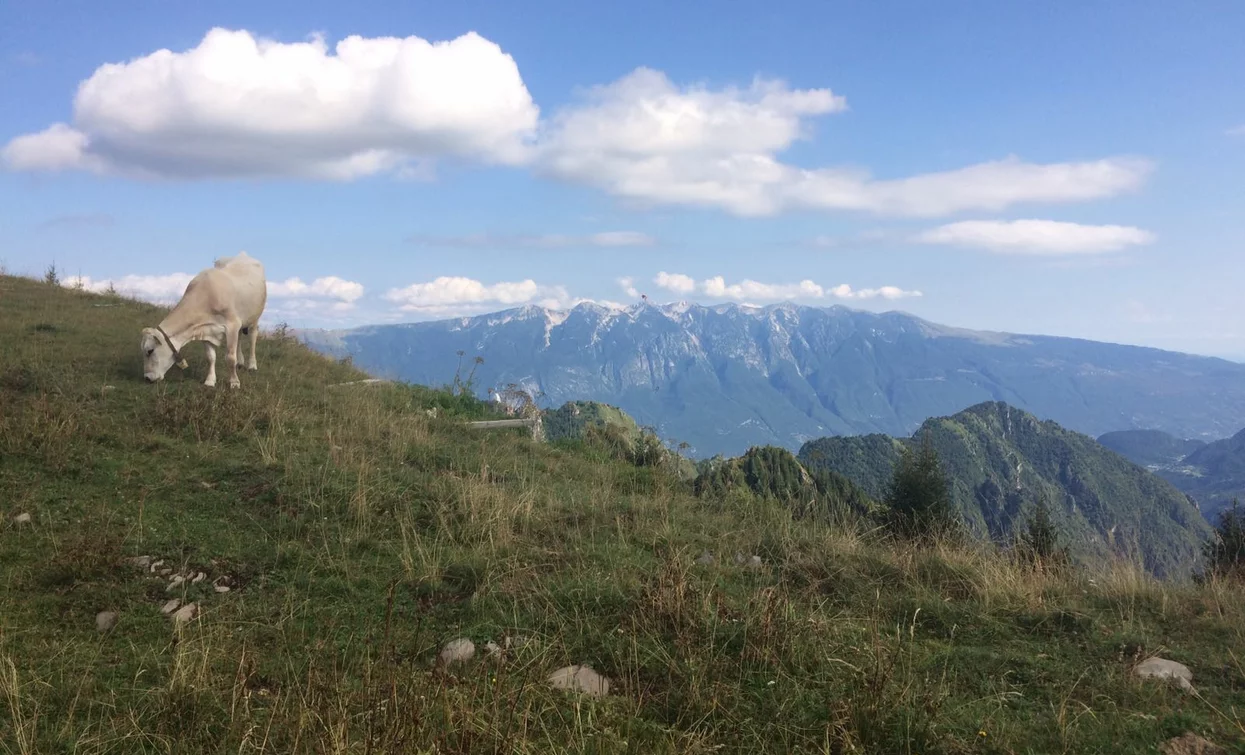 Pascoli di Tremalzo | © Elisabetta Luraschi, Garda Trentino 