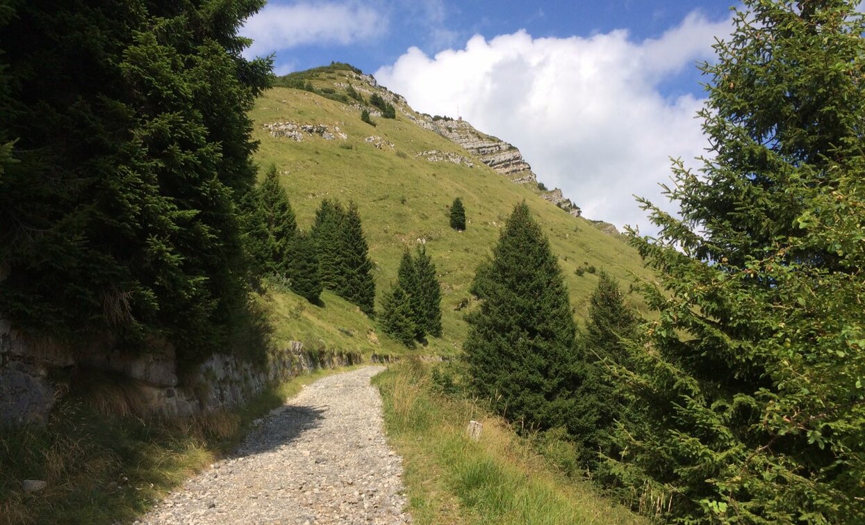 Strada militare | © Elisabetta Luraschi, Garda Trentino 