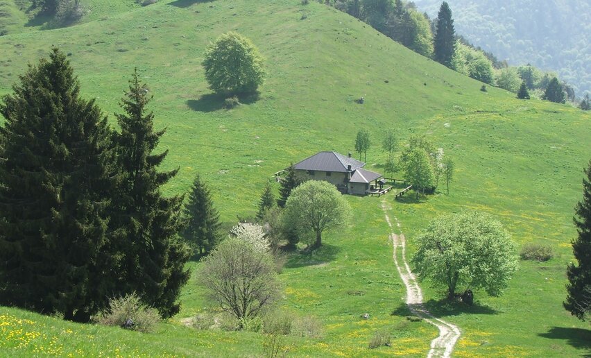 Wiesen von Ca' de Mez | © Archivio Garda Trentino, Garda Trentino 