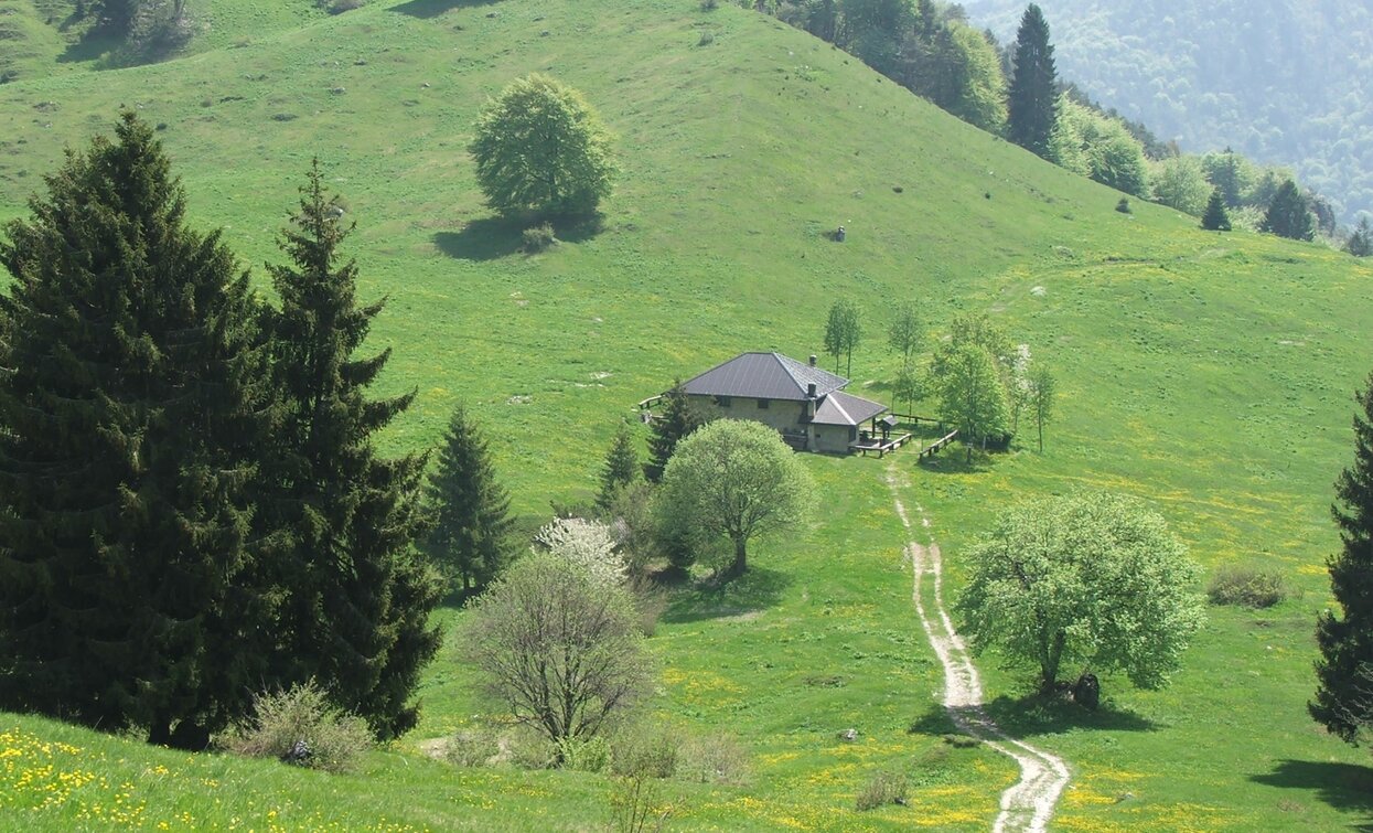 Wiesen von Ca' de Mez | © Archivio Garda Trentino, Garda Trentino 