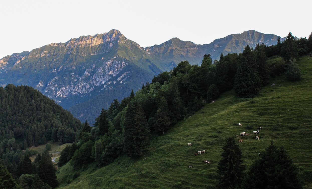 Wiesen von Malga Trat | © Staff Outdoor Garda Trentino AC, Garda Trentino