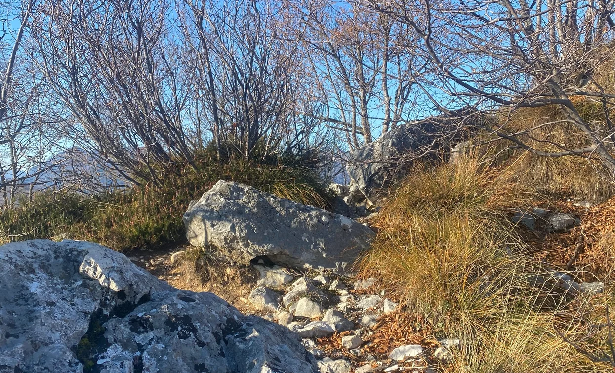 Pfad zum Cima Rocca | © Ludovica Trentini, Garda Trentino 