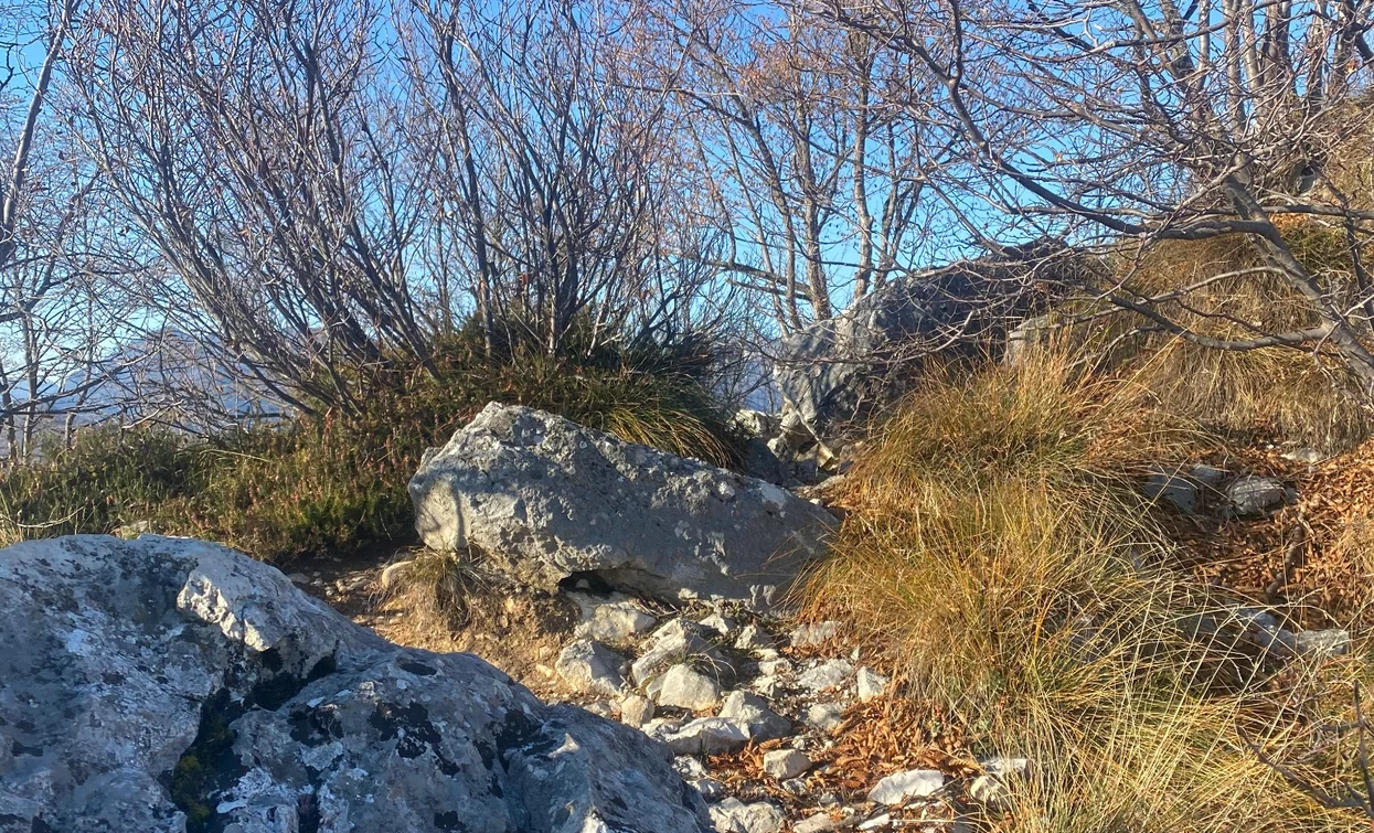 Sentiero per Cima Rocca | © Ludovica Trentini, Garda Trentino 