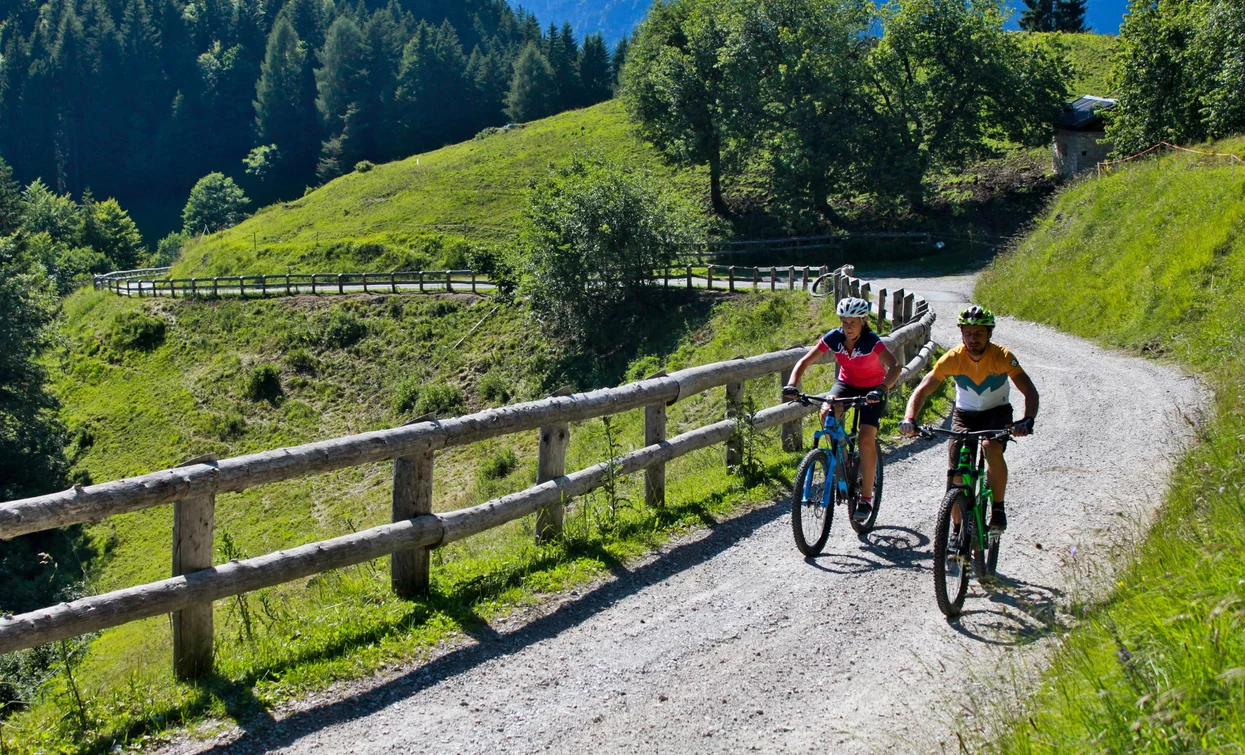 Weg nach Malga Trat | © Archivio Garda Trentino (ph. Stefania Oradini), Garda Trentino 