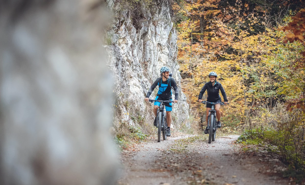 Forststraße zwischen Trat und Locca | © Archivio Garda Trentino (ph. Tommaso Prugnola), Garda Trentino 